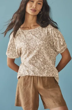 Tropical Birds Top